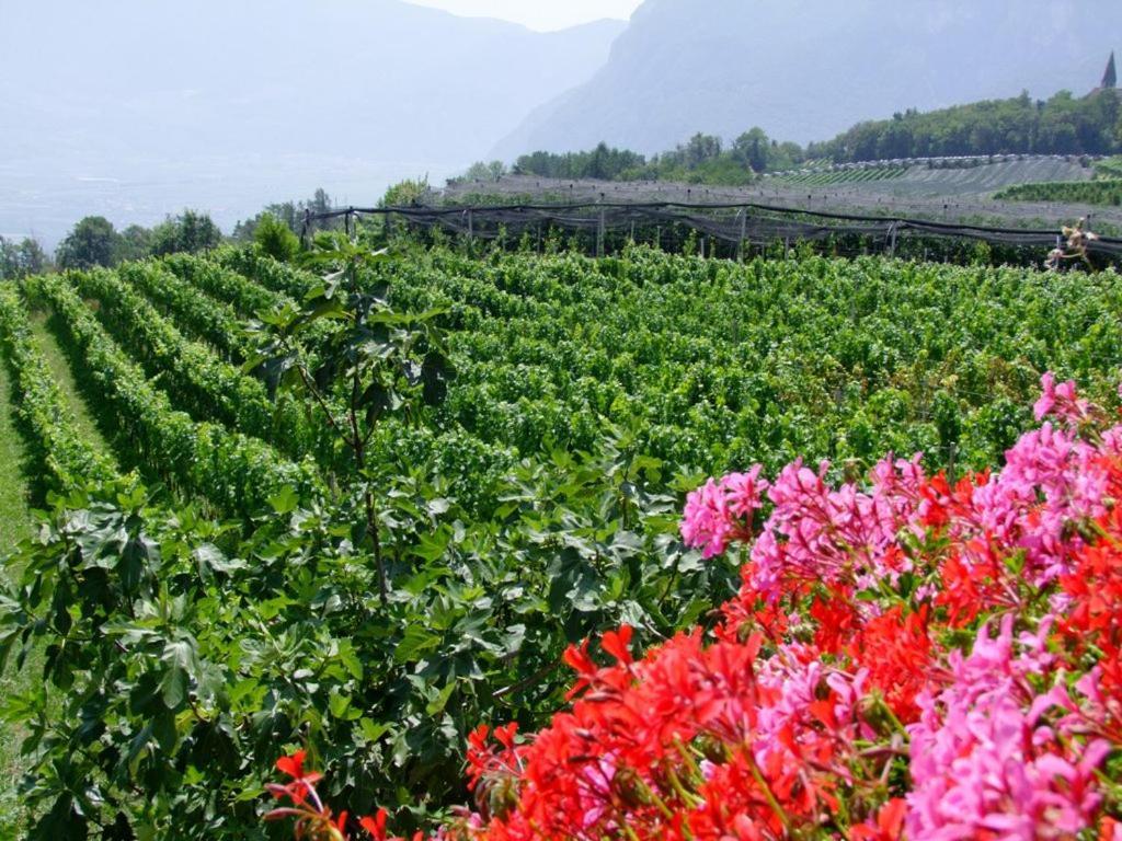 Kerschbamerhof Im Sueden Suedtirols Cortaccia sulla Strada del Vino Extérieur photo