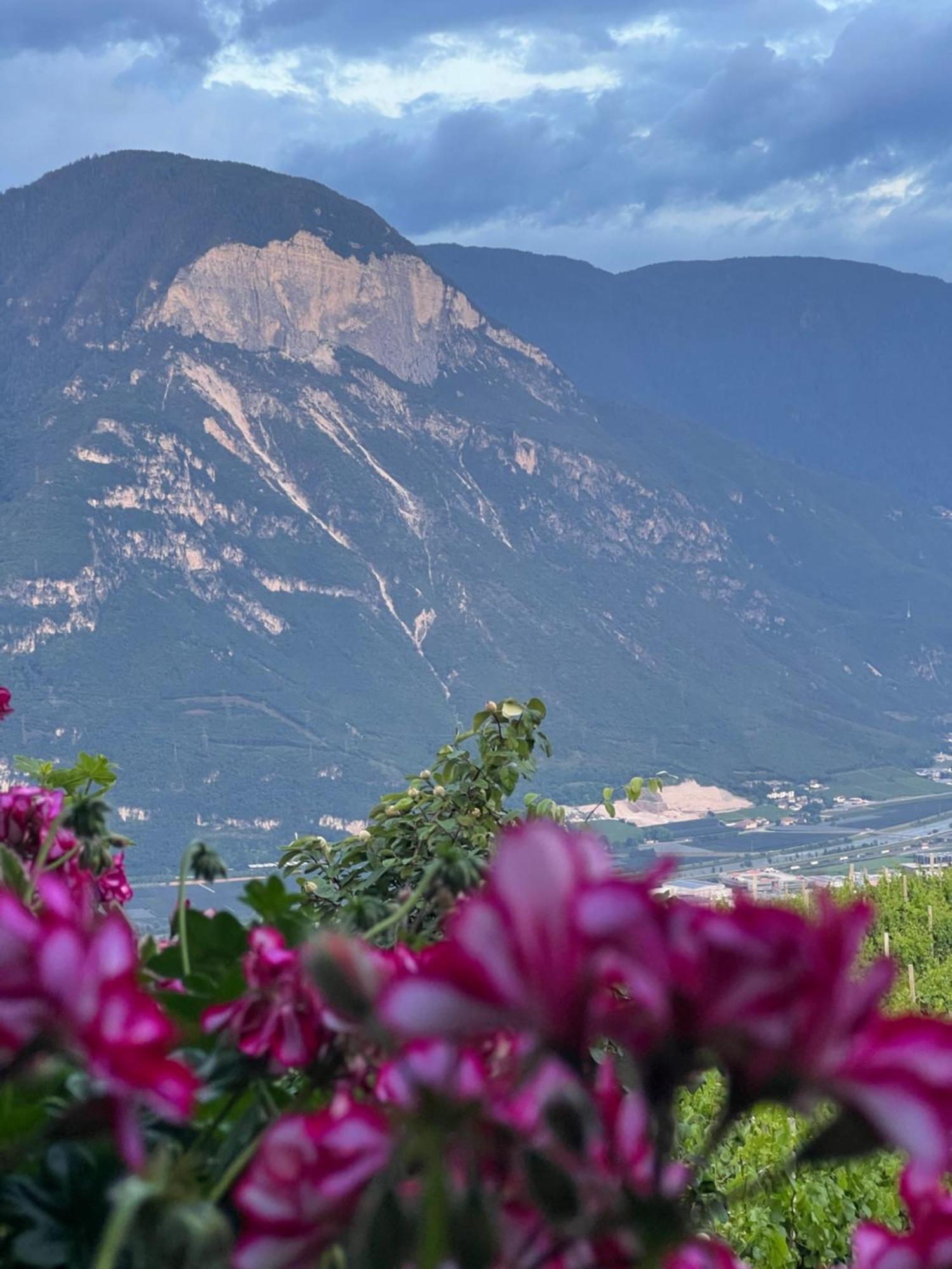 Kerschbamerhof Im Sueden Suedtirols Cortaccia sulla Strada del Vino Extérieur photo