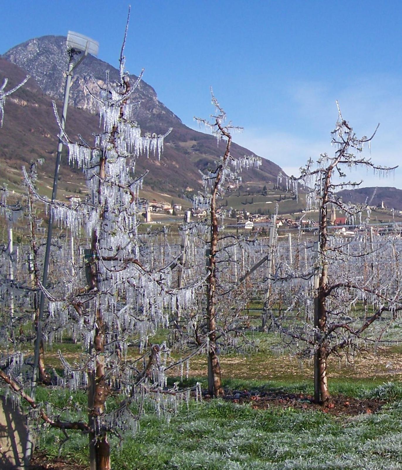 Kerschbamerhof Im Sueden Suedtirols Cortaccia sulla Strada del Vino Extérieur photo