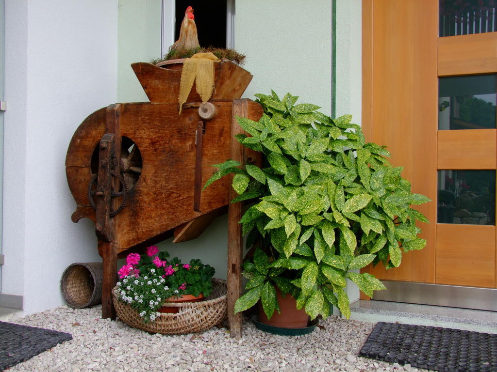 Kerschbamerhof Im Sueden Suedtirols Cortaccia sulla Strada del Vino Extérieur photo
